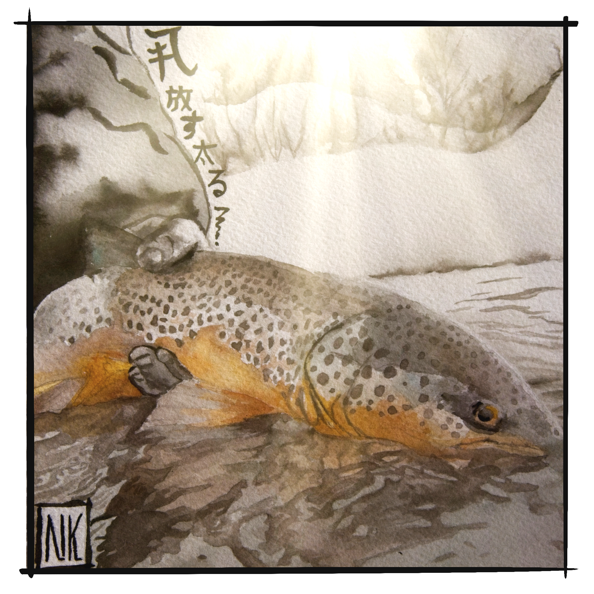 Catch Release Grow - Yampa River Fly Fishing
